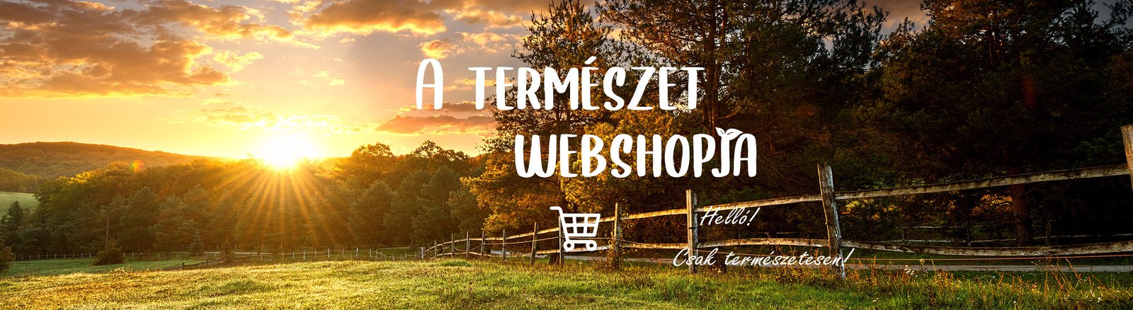 Termeszetboltja hatterkep 2560x700px